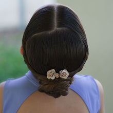 Load image into Gallery viewer, Fall Flowers Hair pin sets
